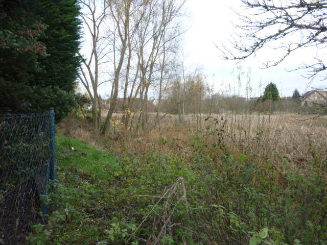 Działka Gumieńce 1.0593 ha