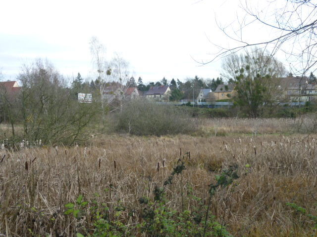 Działka Gumieńce 1.0593 ha