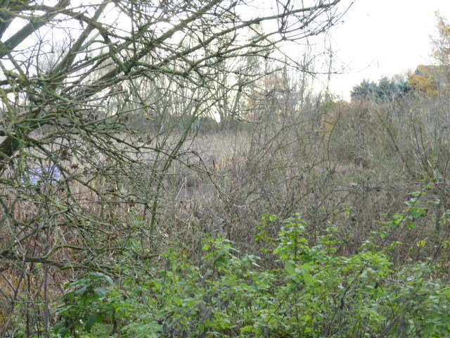 Działka Gumieńce 1.0593 ha