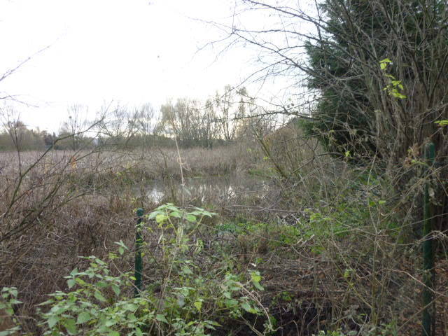 Działka Gumieńce 1.0593 ha