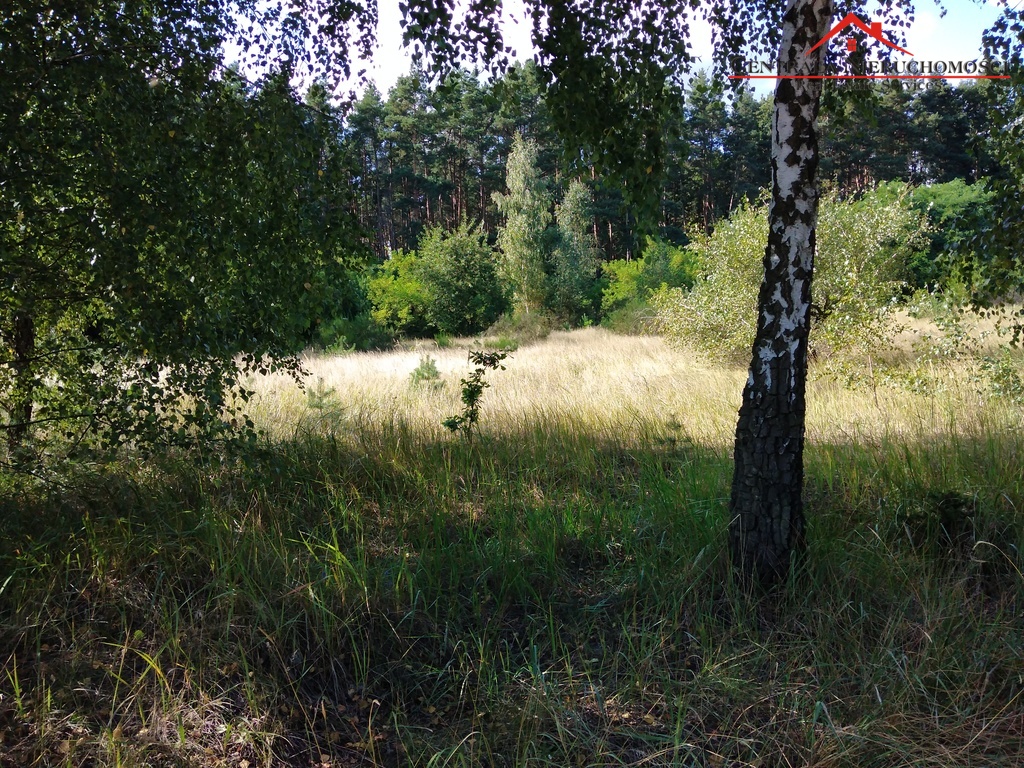 Działka w Toruniu