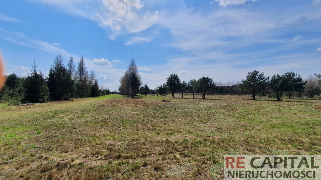 Piękna działka pod leśną rezydencję, Szymanówek