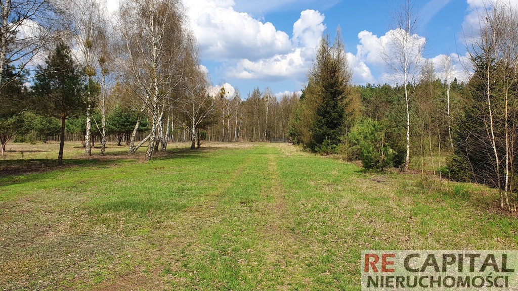 Piękna działka pod leśną rezydencję, Szymanówek