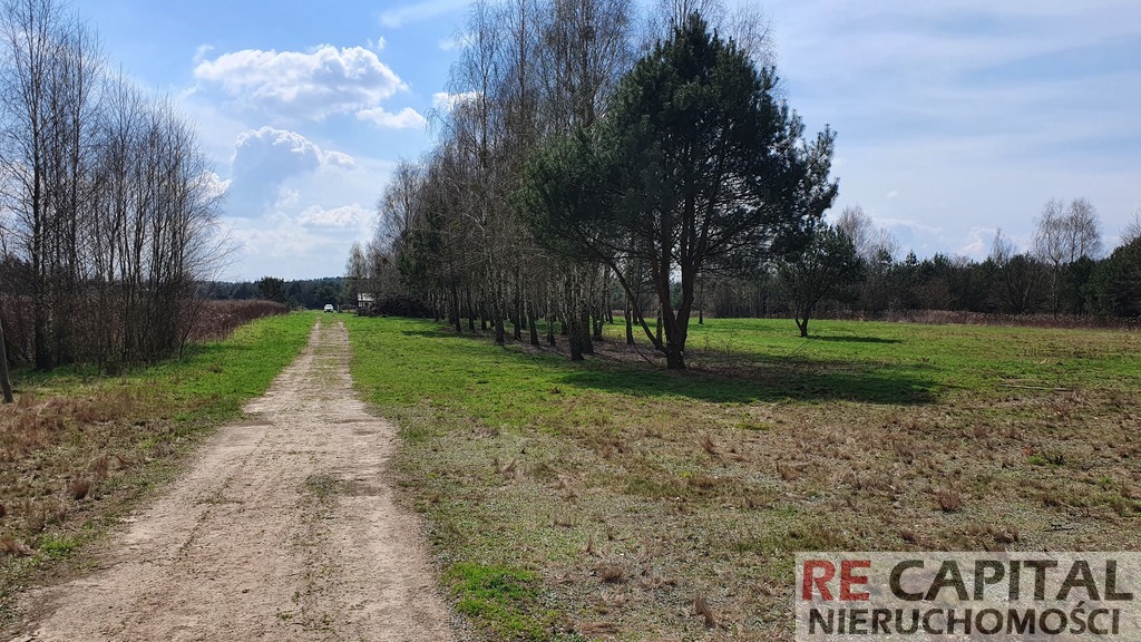 Piękna działka pod leśną rezydencję, Szymanówek