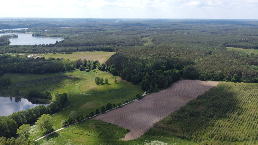 Działka bud.1520m2,obr.Piława,przy J.Łąkie,las.