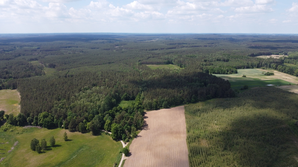 Działka bud.1520m2,obr.Piława,przy J.Łąkie,las.