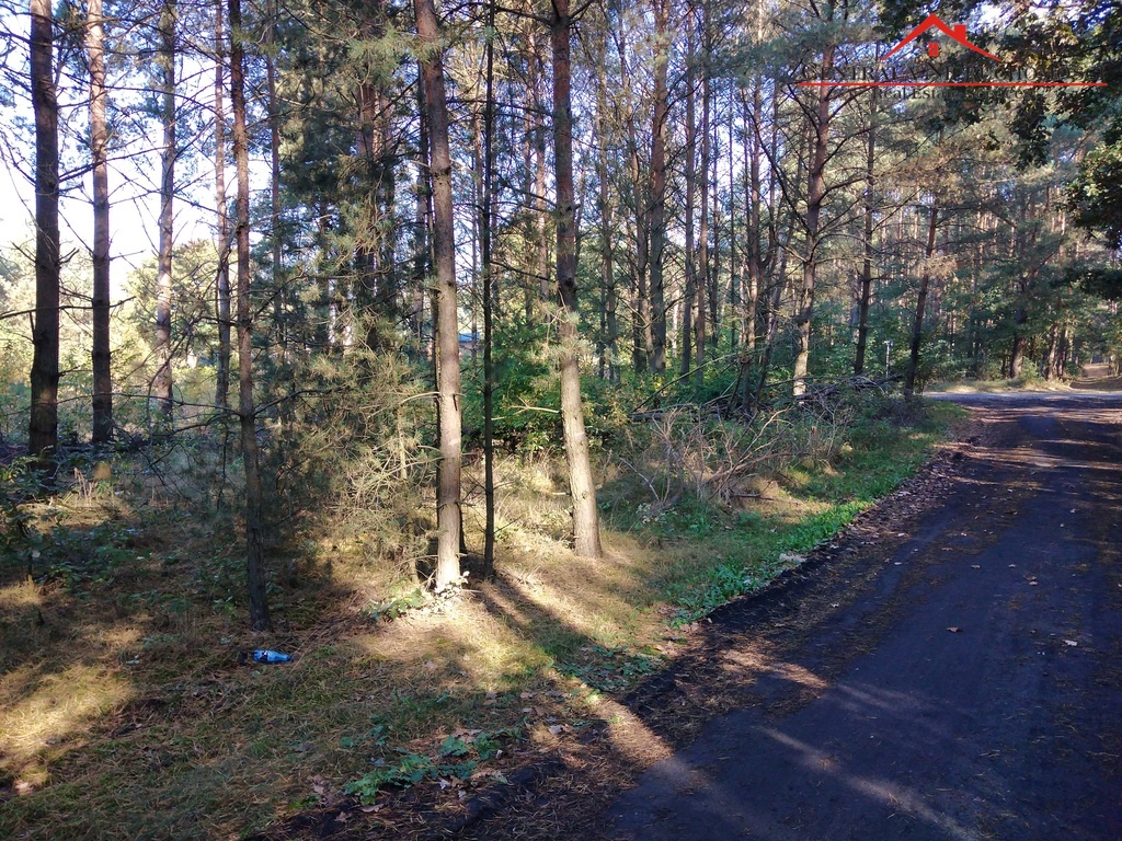Działka w Czarnym Błocie, 14 km od Torunia