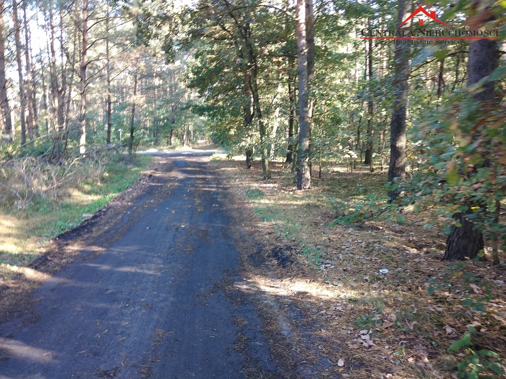 Działka w Czarnym Błocie, 14 km od Torunia