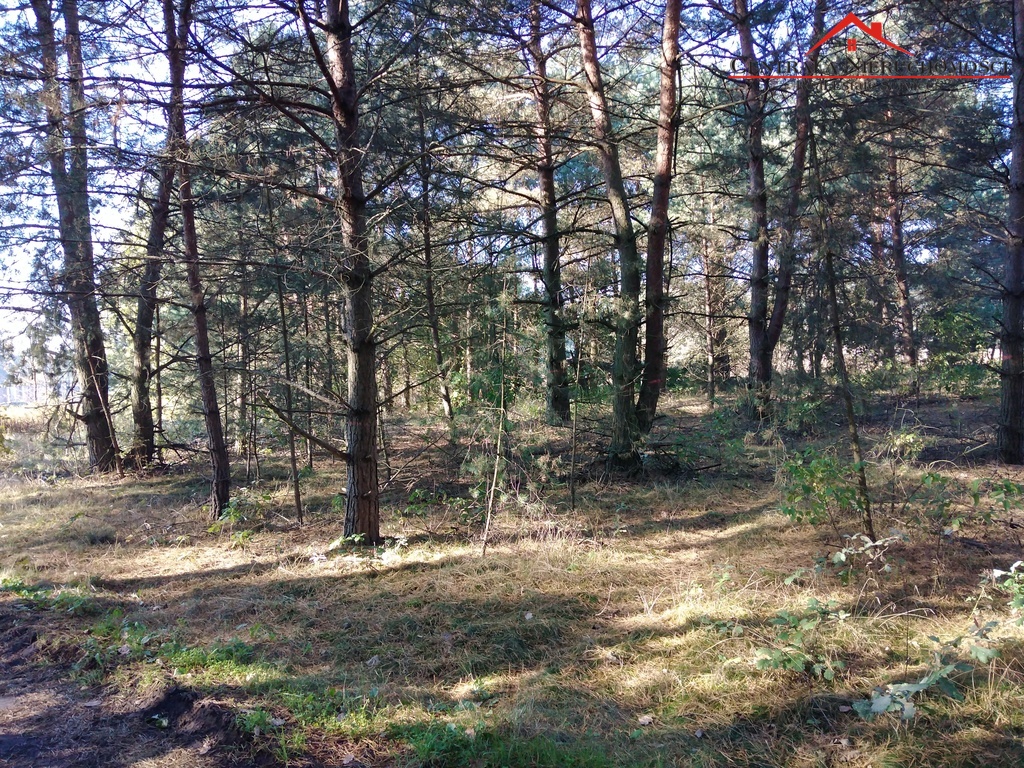 Działka w Czarnym Błocie, 14 km od Torunia