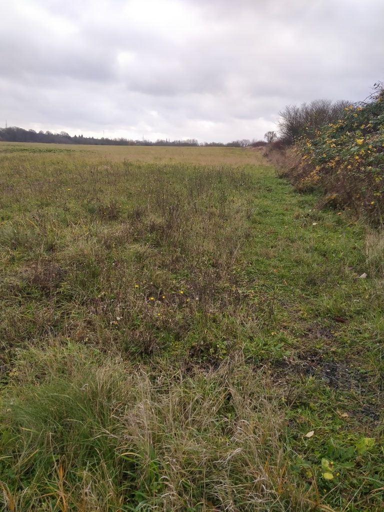 Działka Szczecin-Skolwin 3074 m2.