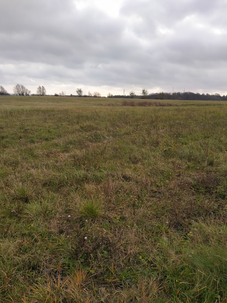 Działka Szczecin-Skolwin 3074 m2.