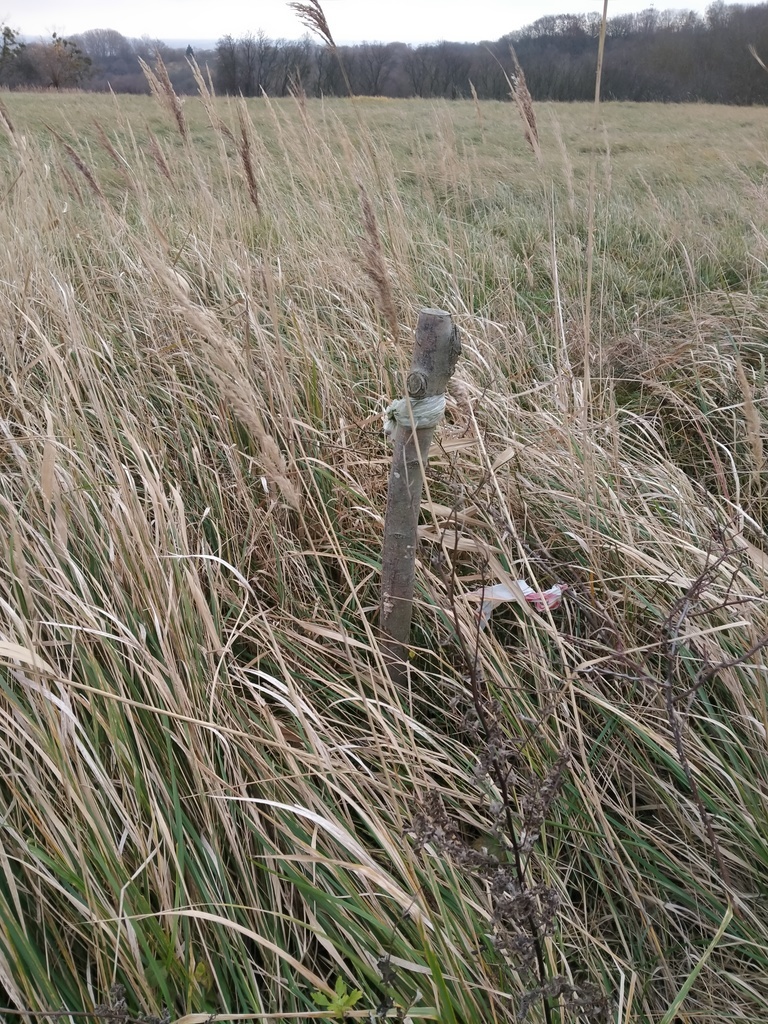 Działka Szczecin-Skolwin 3074 m2.