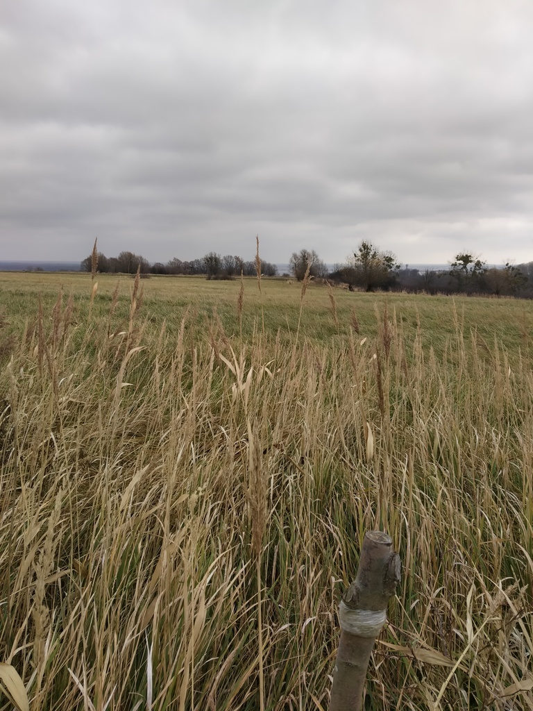 Działka Szczecin-Skolwin 3074 m2.