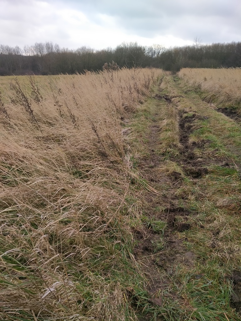 Działka Szczecin-Skolwin 3074 m2.