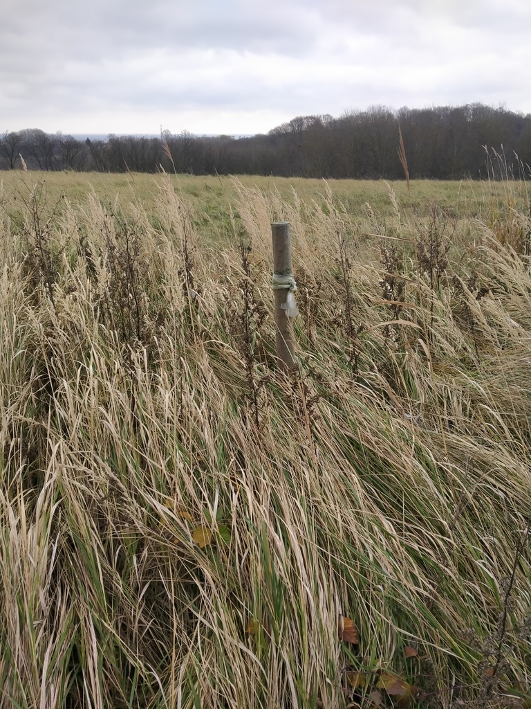 Działka Szczecin-Skolwin 3074 m2.