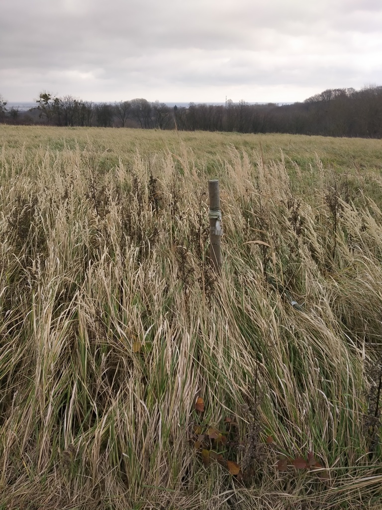 Działka Szczecin-Skolwin 3074 m2.