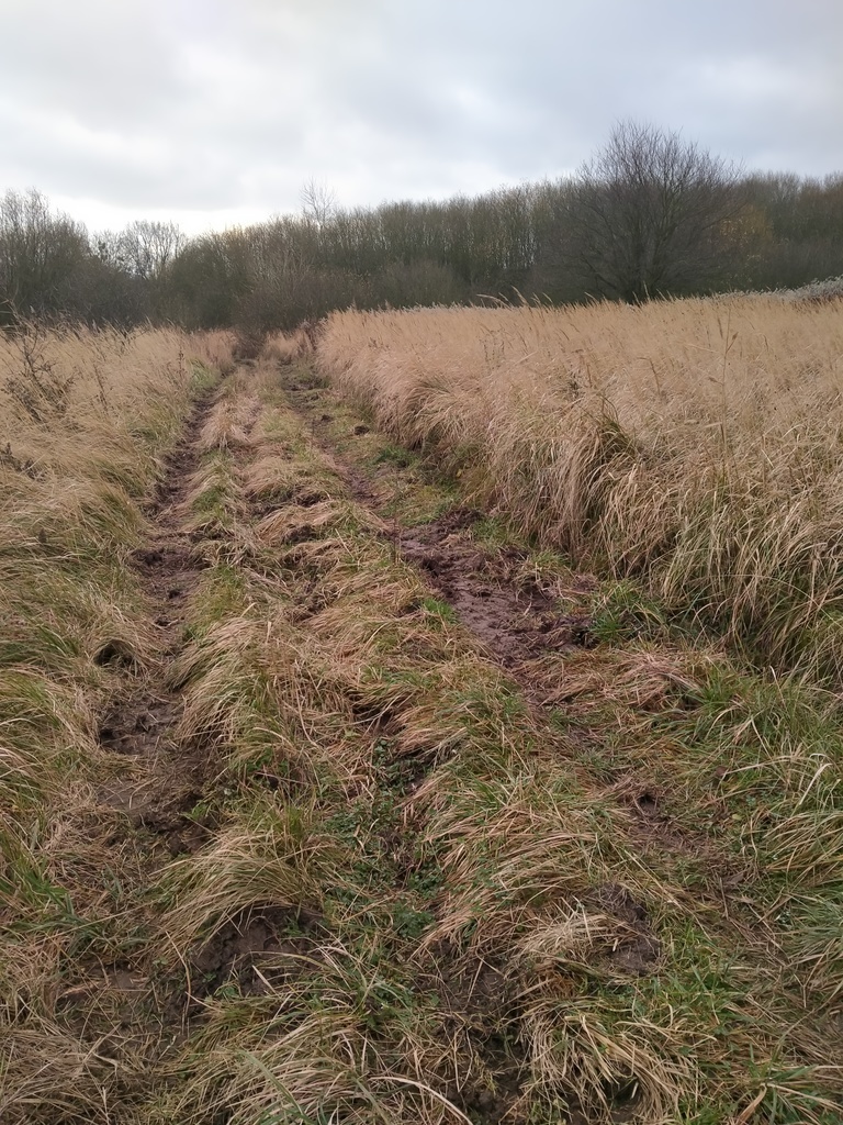 Działka Szczecin-Skolwin 3074 m2.