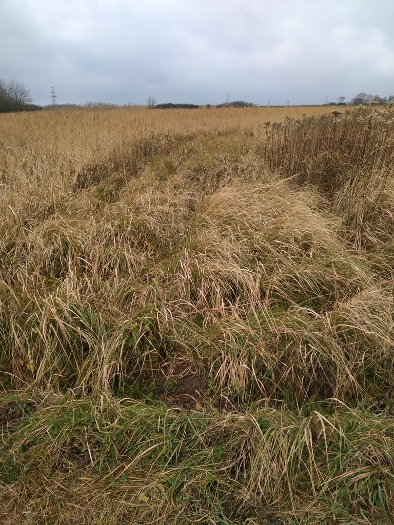 Działka Szczecin-Skolwin 3074 m2.