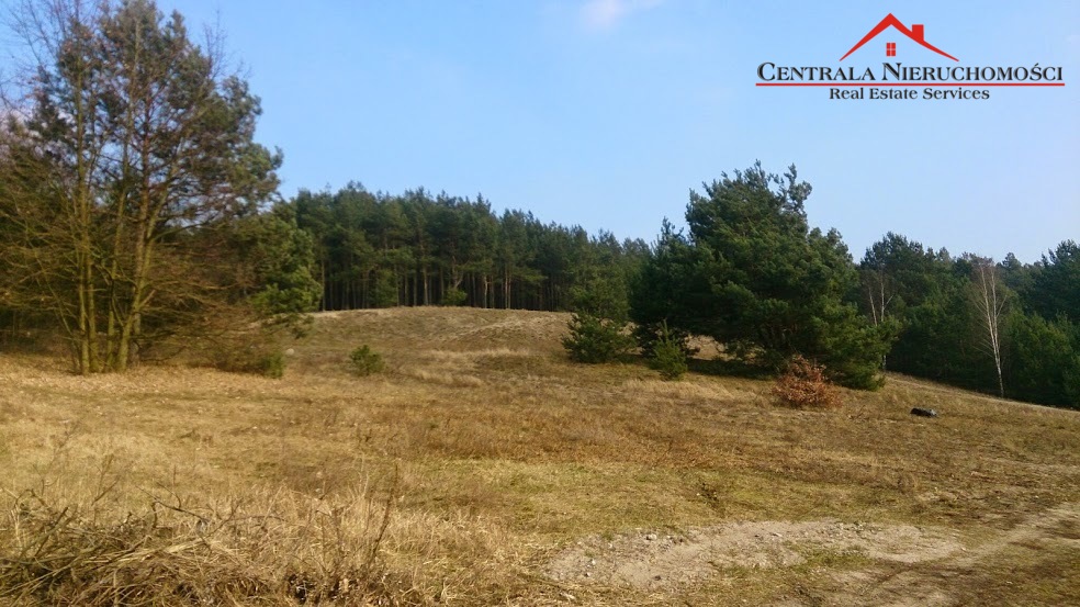 Piękne działki w Czarnowie!!