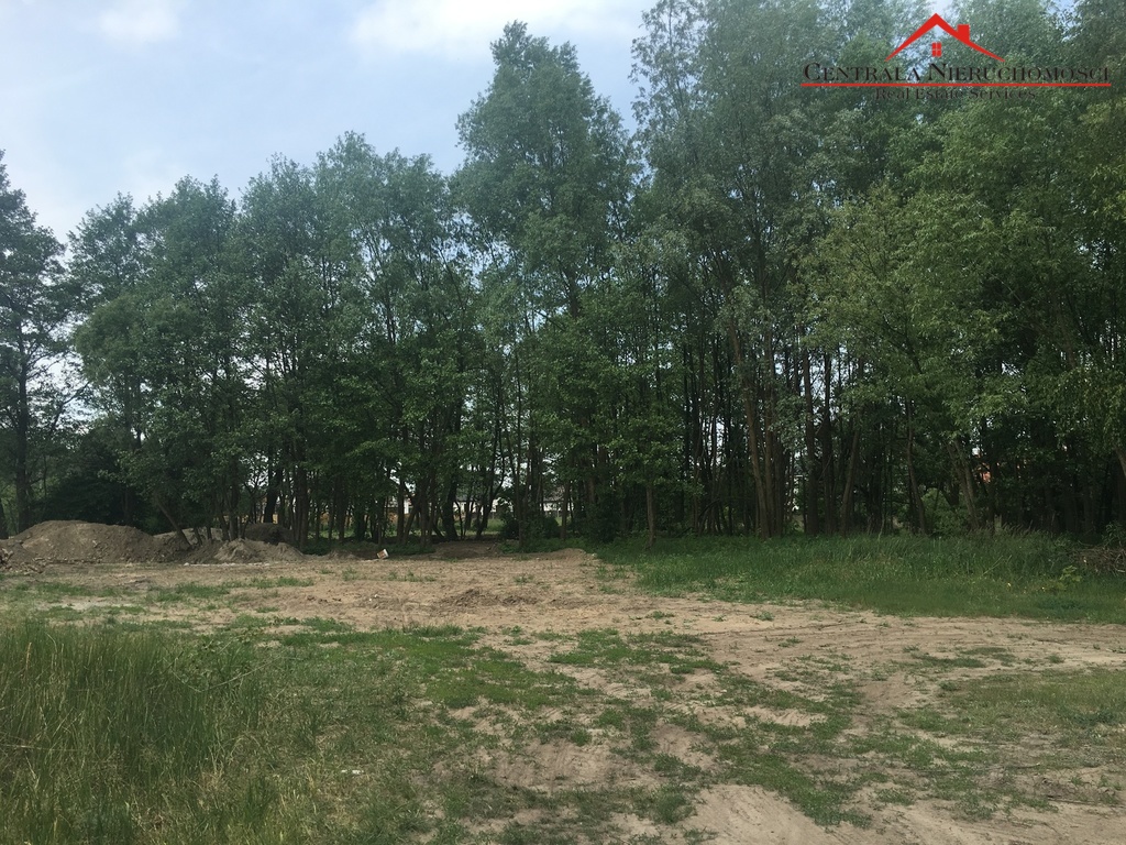 Piękne działki w Czarnowie!!