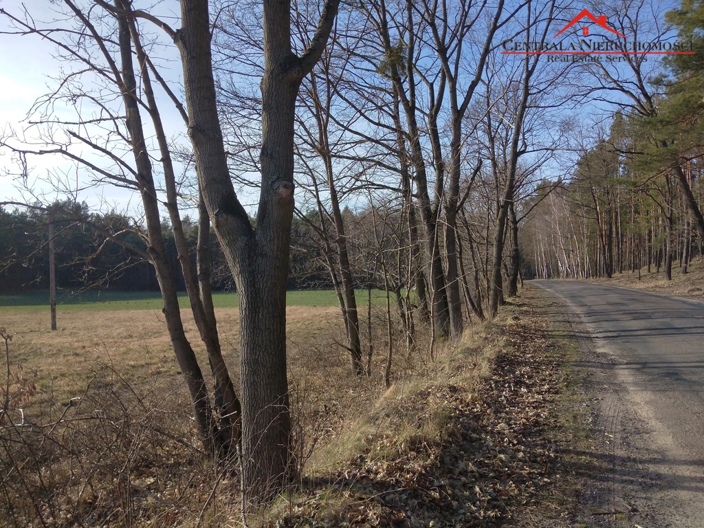 Działka w Czarnym Błocie