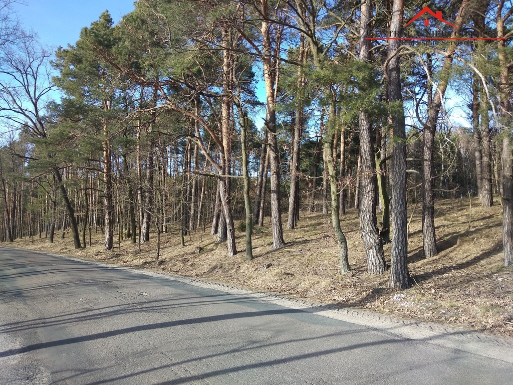 Działka w Czarnym Błocie