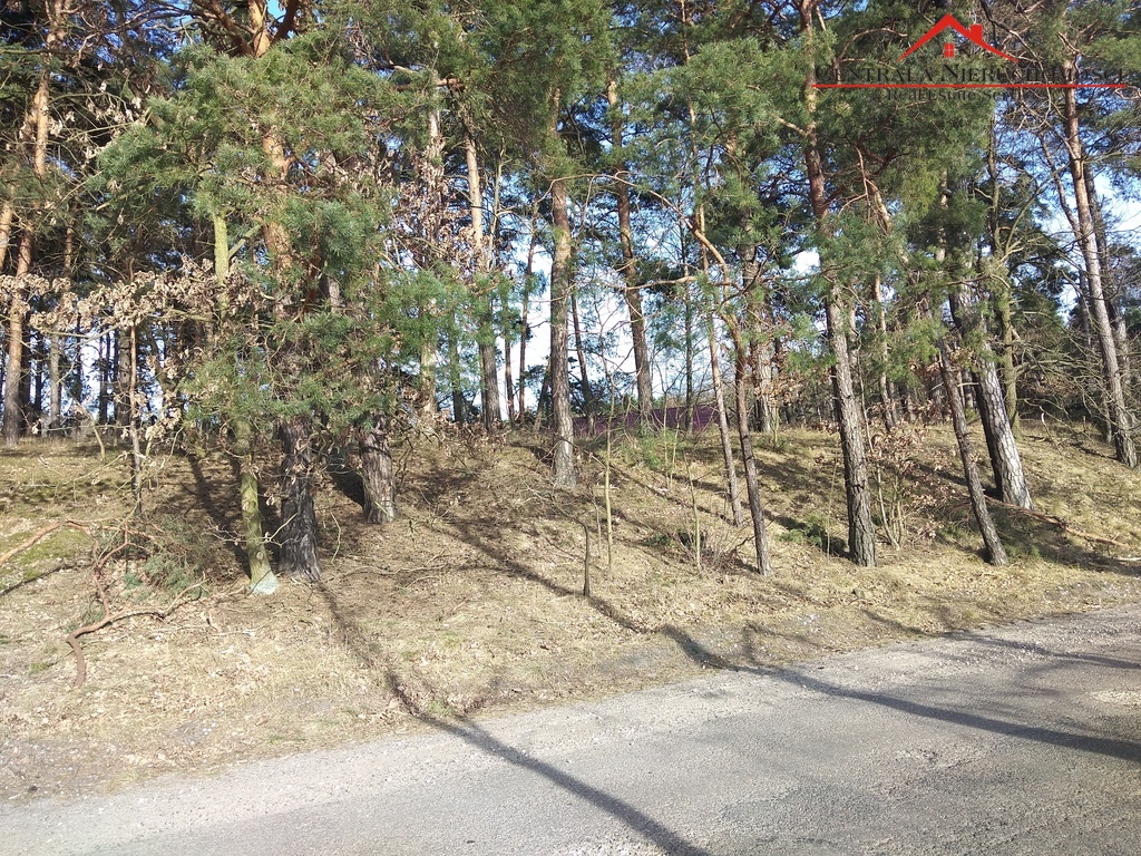 Działka w Czarnym Błocie