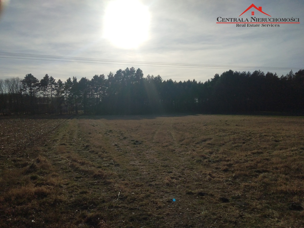 Działka w Czarnym Błocie