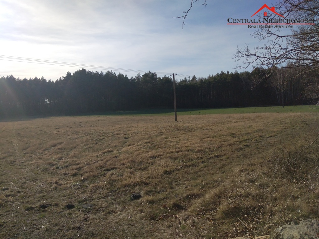 Działka w Czarnym Błocie