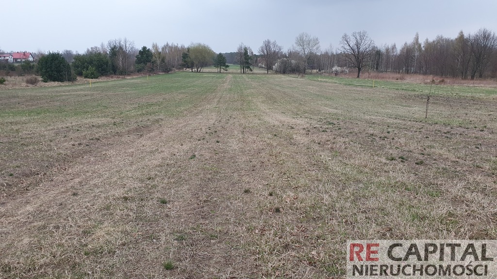 Przestronna Działka budowlana Powązki, gm. Leszno