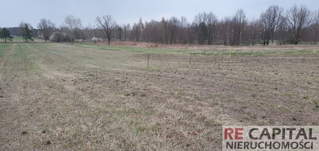 Przestronna Działka budowlana Powązki, gm. Leszno