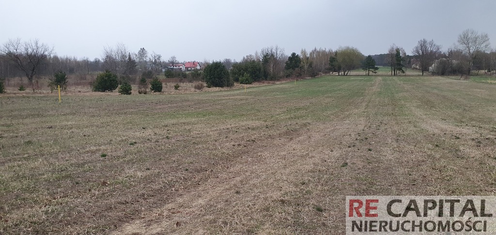 Przestronna Działka budowlana Powązki, gm. Leszno