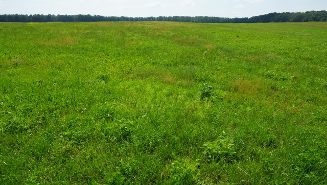 Działka 1.0000ha,m. Bobolice,las,piękny widok,