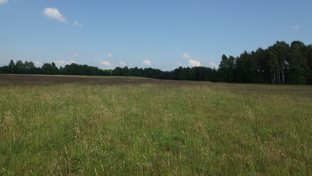 Działka 1.0000ha,m. Bobolice,las,piękny widok,