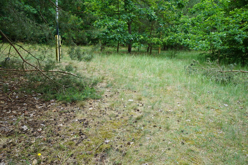 Działka 2078 m2, w pobliżu jezioro