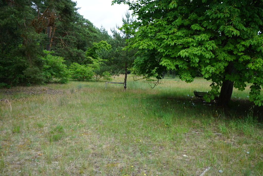 Działka 1h 383m2 m2, zabudowana budynkiem  380 m2