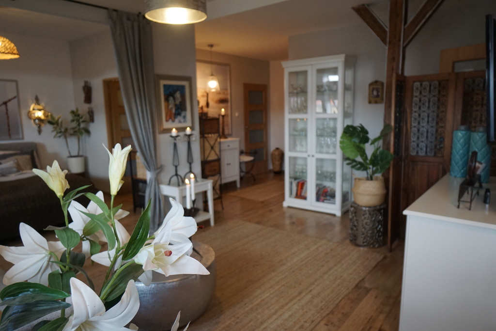 Apartament studio Centrum