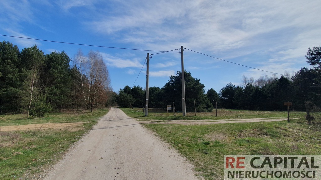 Leśna działka budowlana Powązki gm Leszno