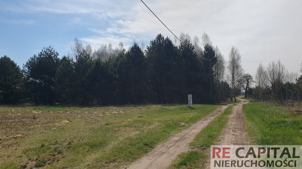 Leśna działka budowlana Powązki gm Leszno