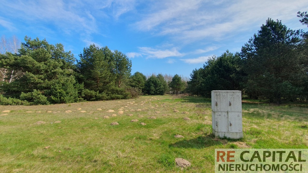 Leśna działka budowlana Powązki gm Leszno