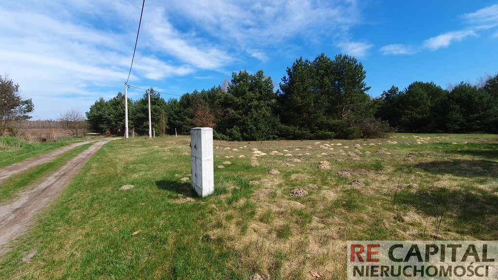 Leśna działka budowlana Powązki gm Leszno