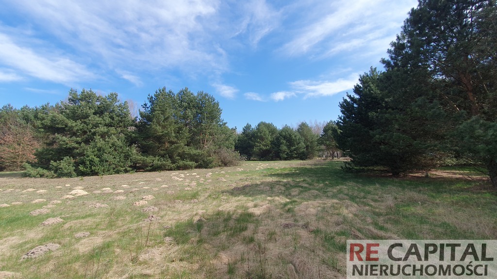Leśna działka budowlana Powązki gm Leszno