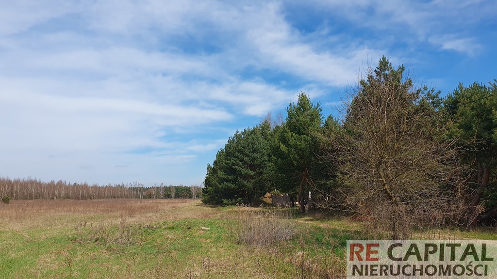 Leśna działka budowlana Powązki gm Leszno
