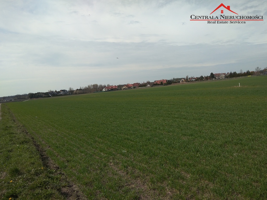 Trzynaście działek w Papowie Torunskim