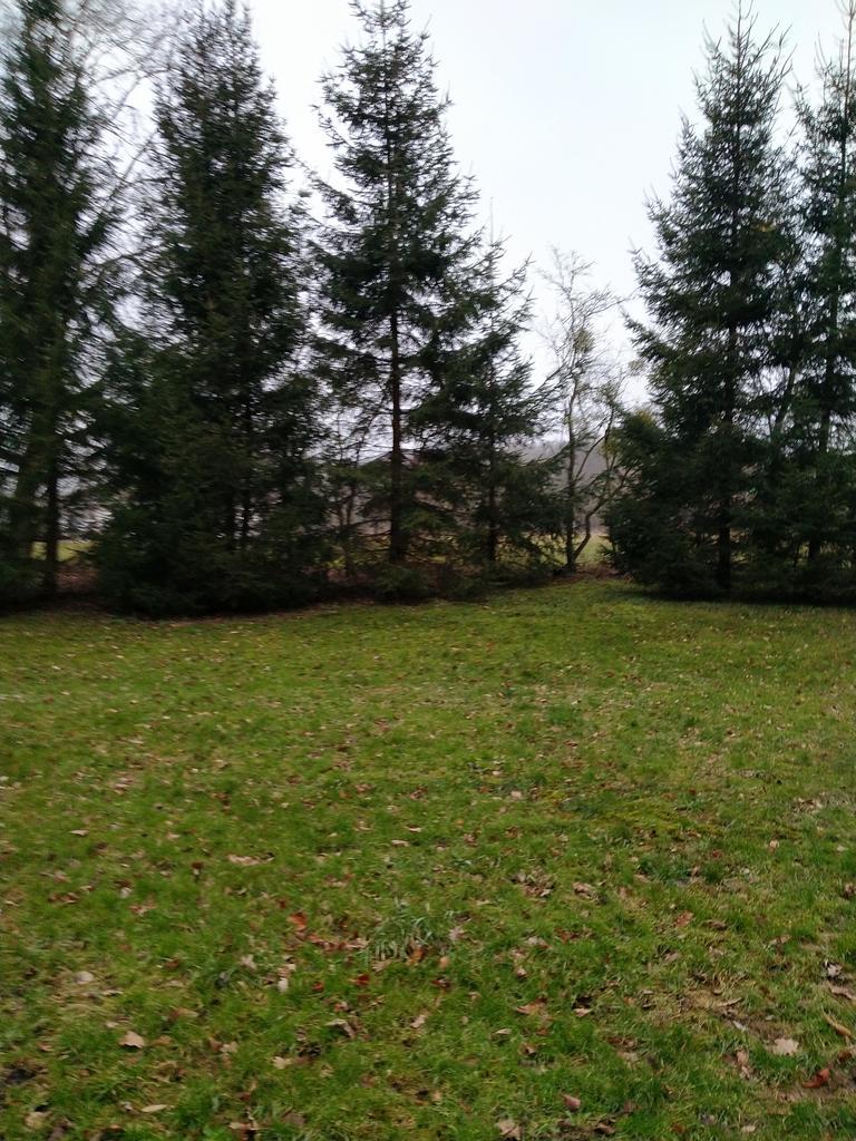 Rzędziny,2001m2,zabud. jednorodzinna,las-park.