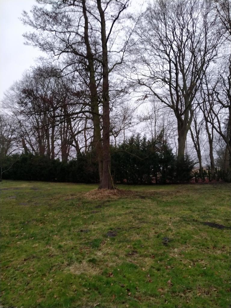 Rzędziny,2001m2,zabud. jednorodzinna,las-park.