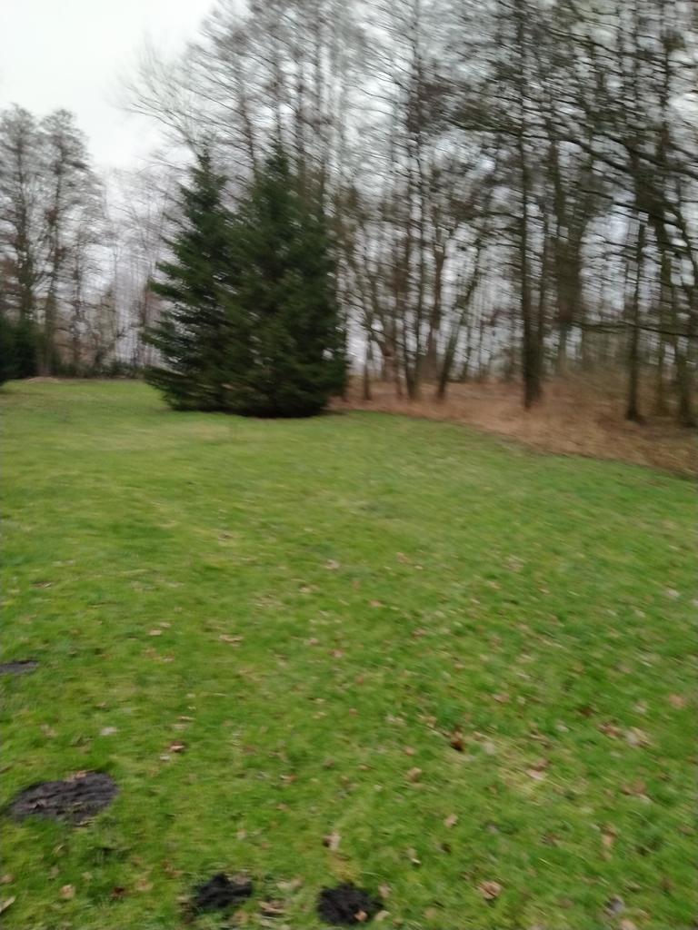 Rzędziny,2001m2,zabud. jednorodzinna,las-park.