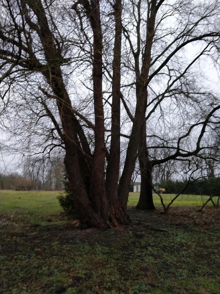 Rzędziny,2001m2,zabud. jednorodzinna,las-park.