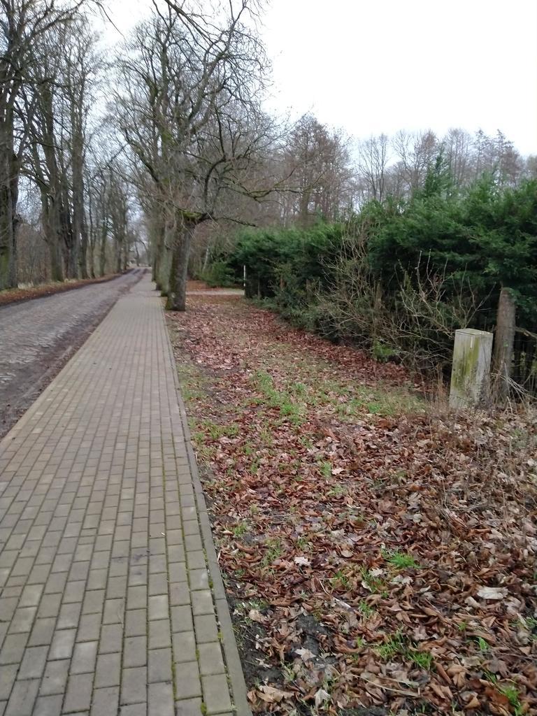 Rzędziny,2001m2,zabud. jednorodzinna,las-park.