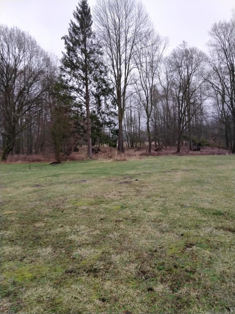 Rzędziny,2001m2,zabud. jednorodzinna,las-park.